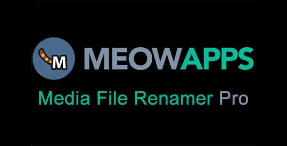 Media File Renamer Pro Plugin Media File Renamer Pro