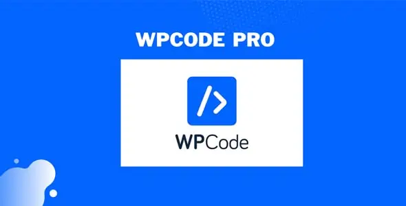 WPCode Pro WPCode Pro