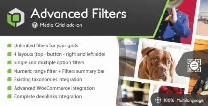 Media Grid Advanced Filters